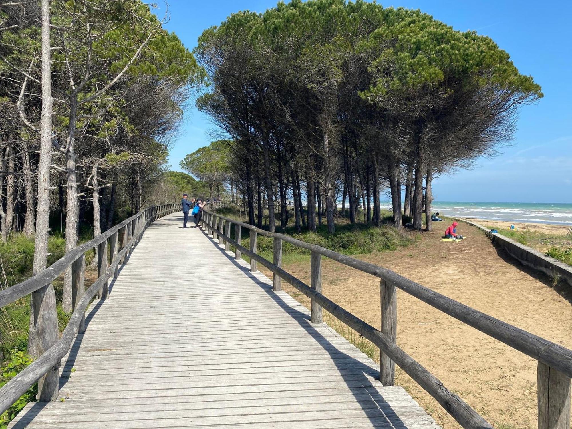 Peaceful Few Steps From The Center Appartamento Bibione